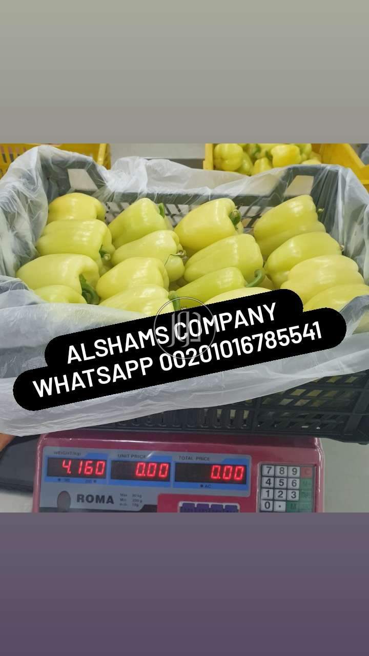 صور خدمات استيراد وتصدير في الامارات - دوّر.كوم