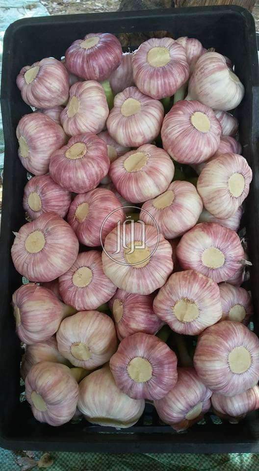 صور خدمات استيراد وتصدير في أبو ظبي - دوّر.كوم