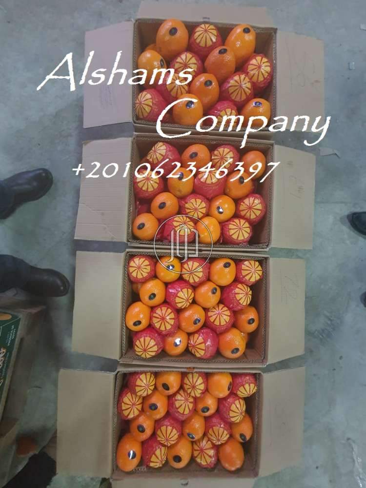 صور خدمات استيراد وتصدير في دبي - دوّر.كوم