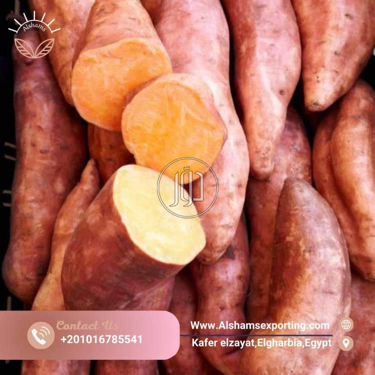 استيراد وتصدير في الامارات - دوّر.كوم