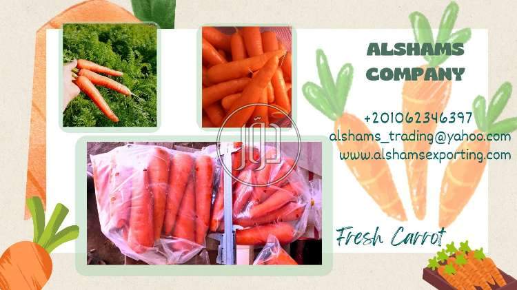 صور خدمات استيراد وتصدير في الفجيرة - دوّر.كوم