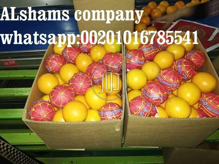 صور خدمات استيراد وتصدير في الامارات - دوّر.كوم