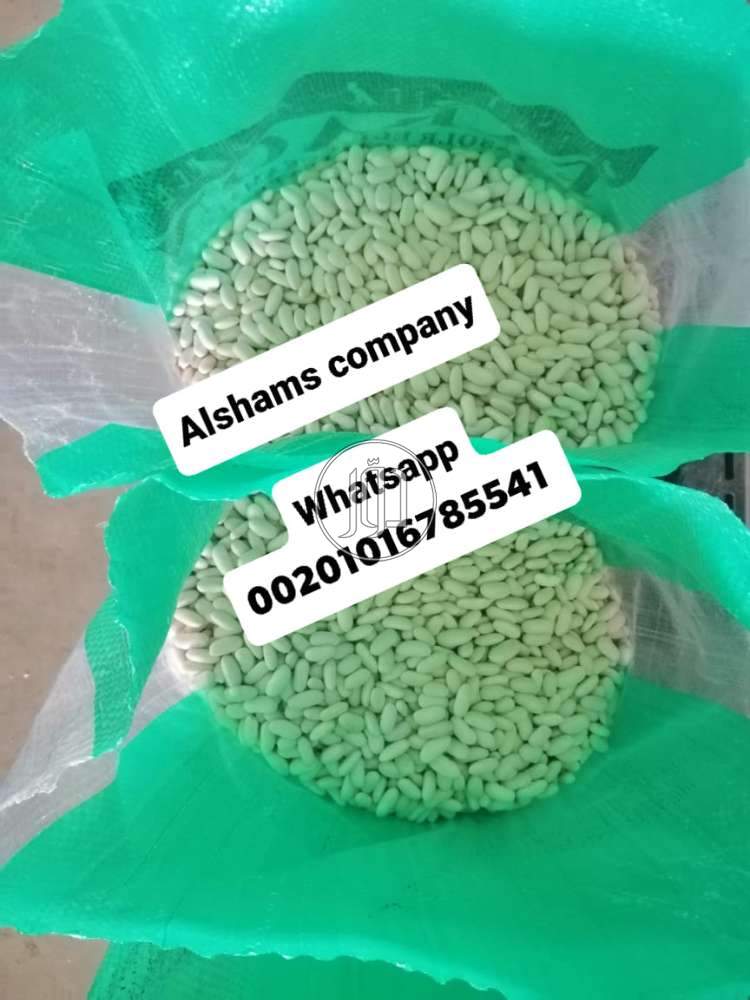 صور خدمات استيراد وتصدير في الامارات - دوّر.كوم