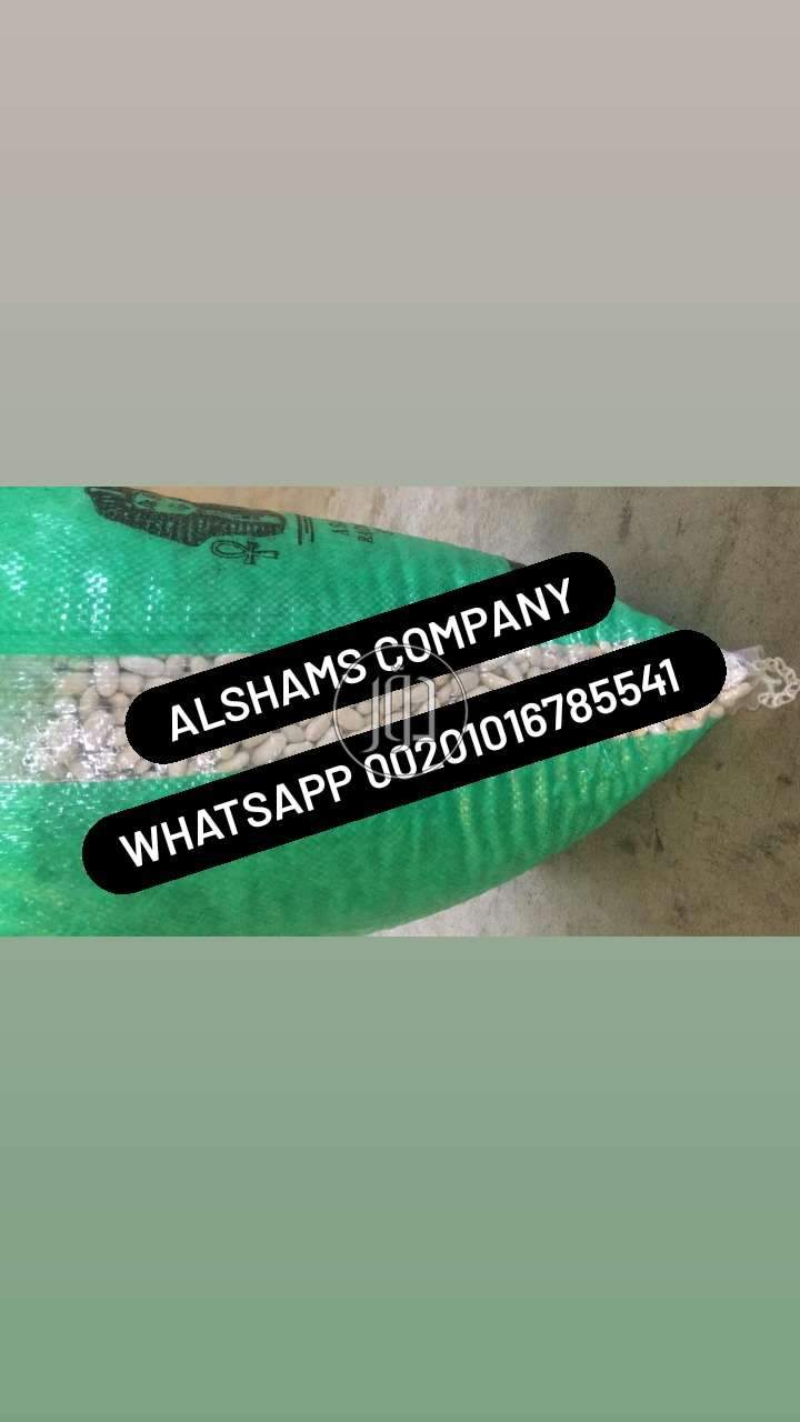 صور خدمات استيراد وتصدير في الامارات - دوّر.كوم