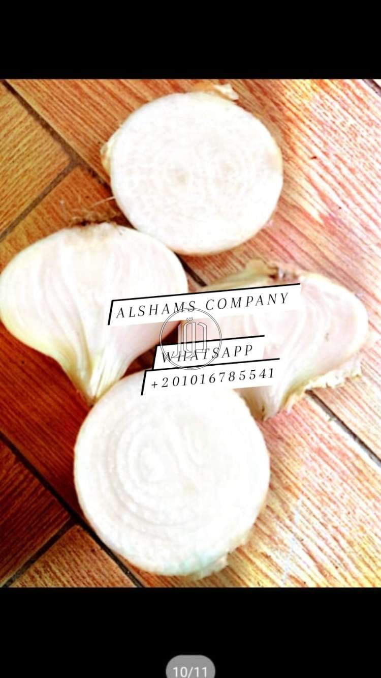 صور خدمات استيراد وتصدير في الامارات - دوّر.كوم