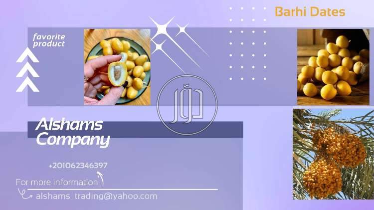 صور خدمات استيراد وتصدير في الامارات - دوّر.كوم