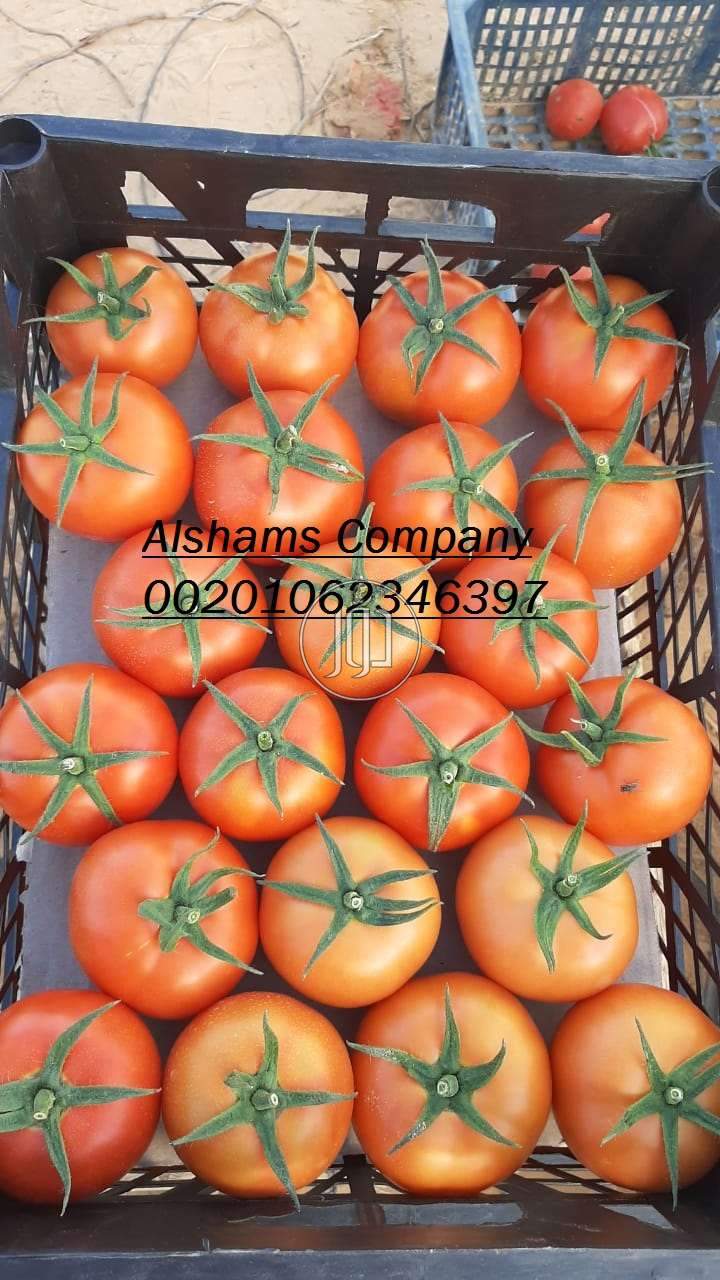 صور خدمات استيراد وتصدير في أبو ظبي - دوّر.كوم