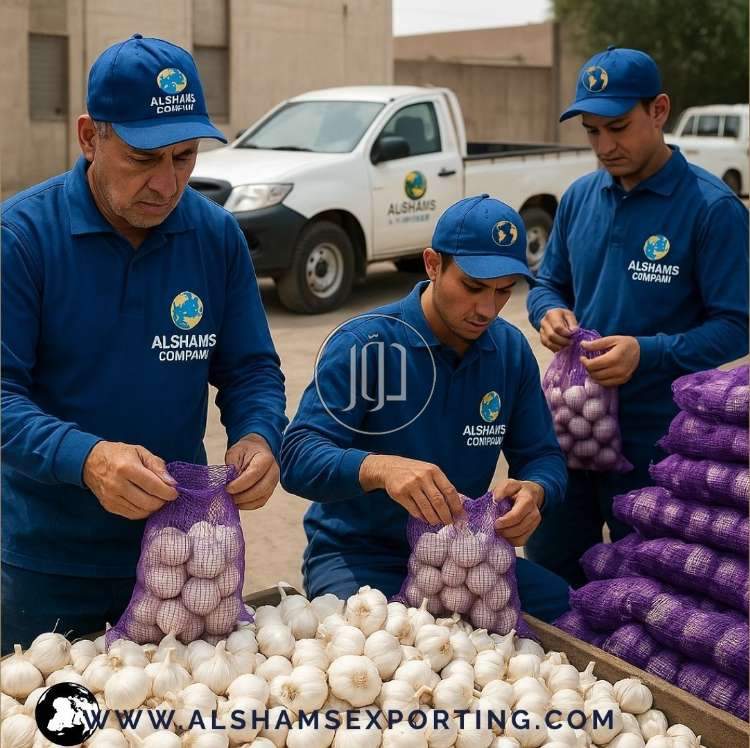 صور خدمات استيراد وتصدير في العين - دوّر.كوم