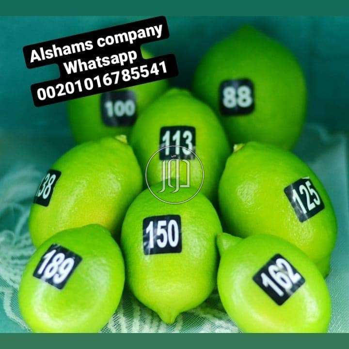 صور خدمات استيراد وتصدير في الامارات - دوّر.كوم