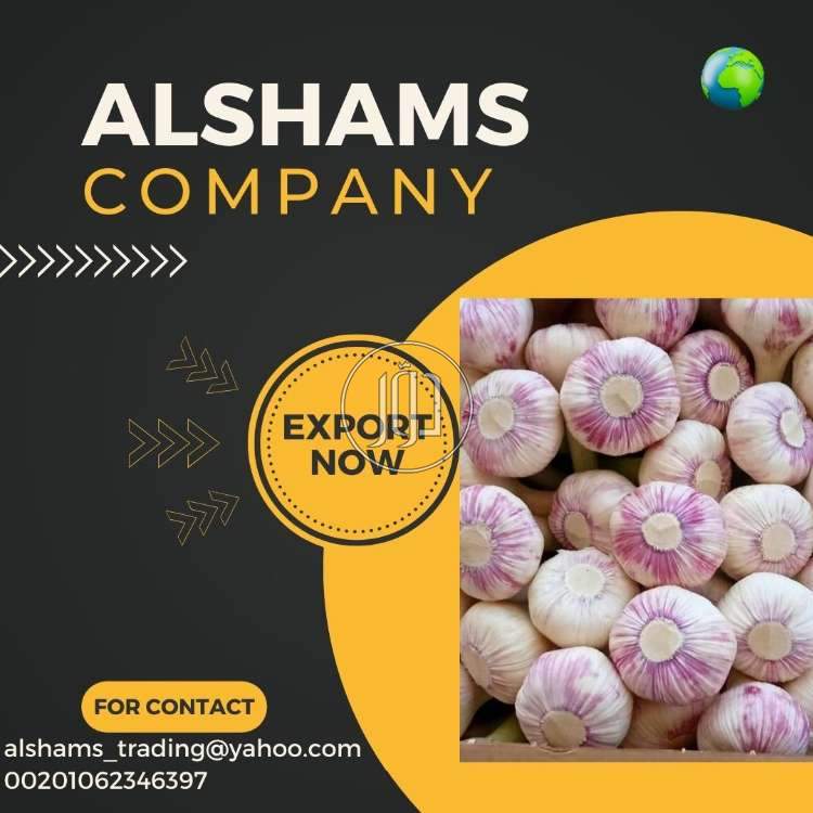 صور خدمات استيراد وتصدير في رأس الخيمة - دوّر.كوم