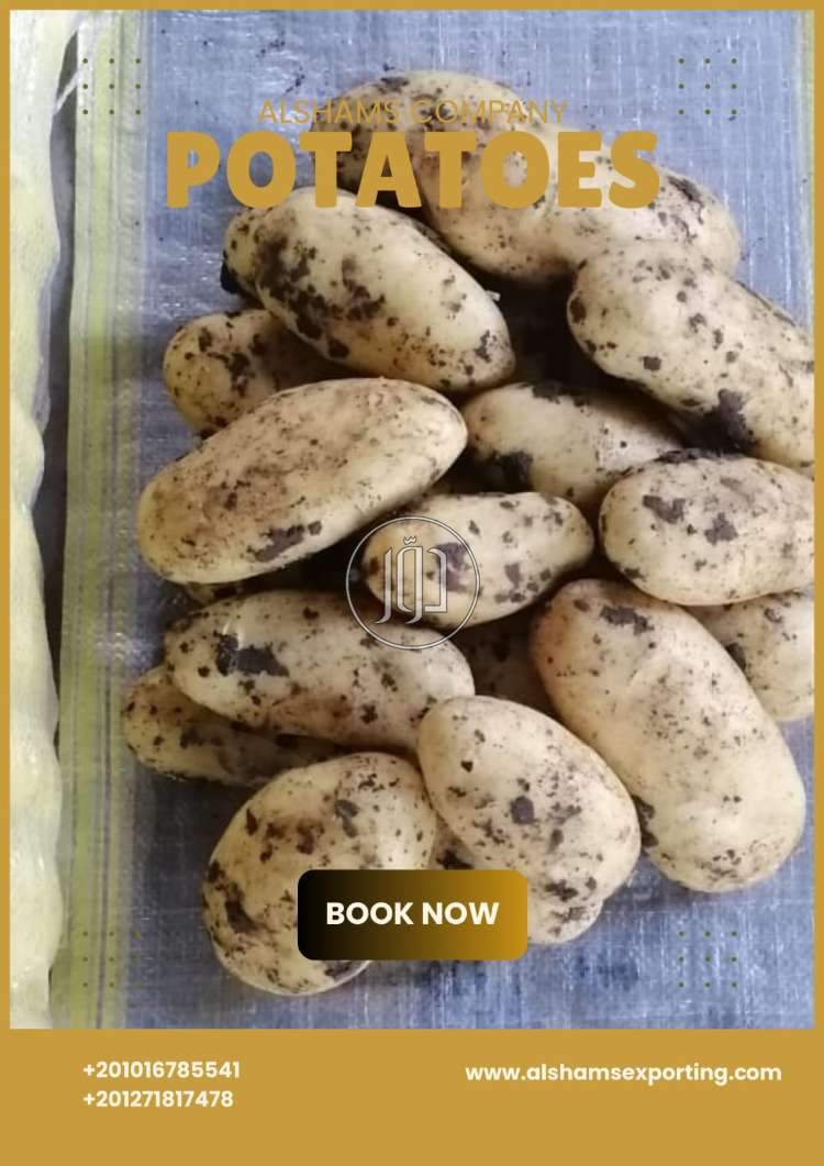 Fresh  Potatoes