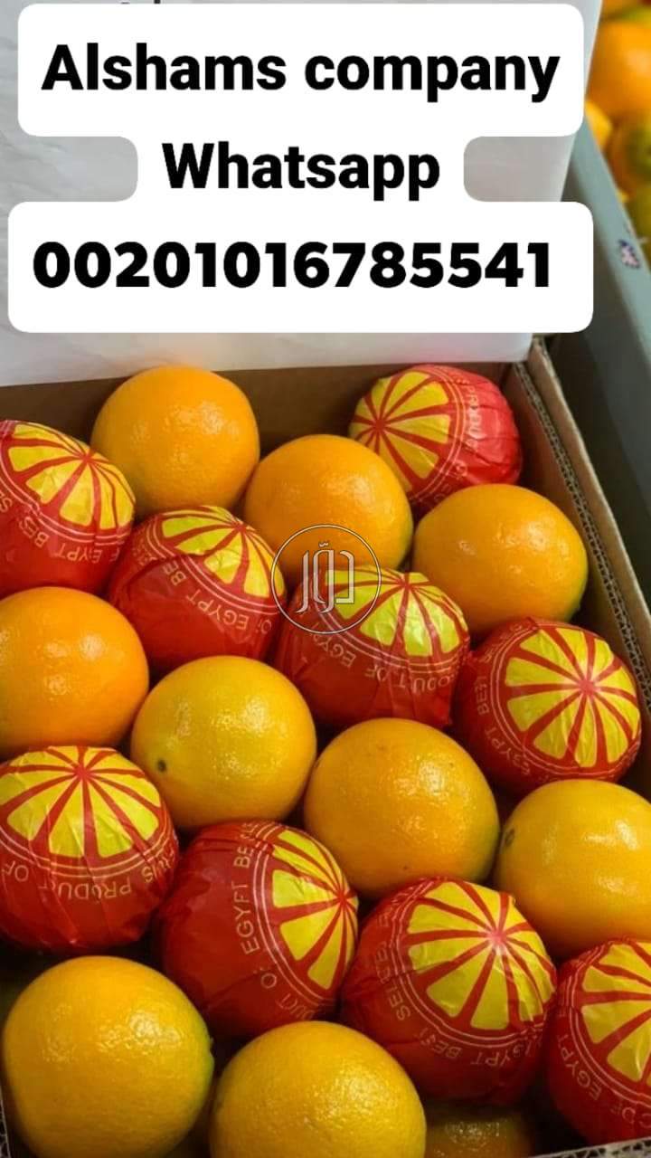 صور خدمات استيراد وتصدير في الامارات - دوّر.كوم