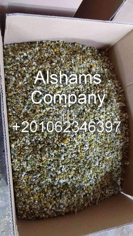 صور خدمات استيراد وتصدير في العين - دوّر.كوم