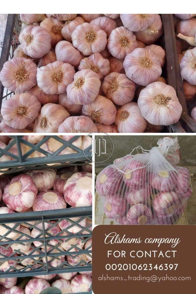 صور خدمات استيراد وتصدير في دبي - دوّر.كوم