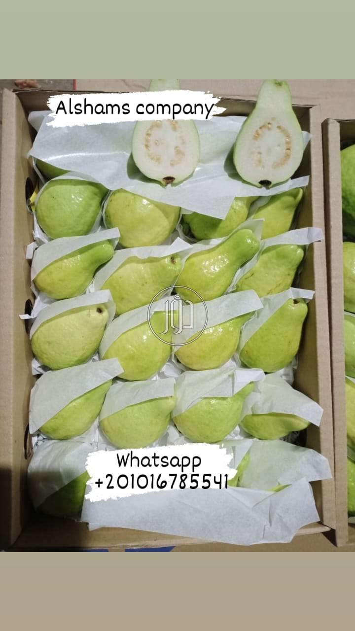 صور خدمات استيراد وتصدير في الامارات - دوّر.كوم