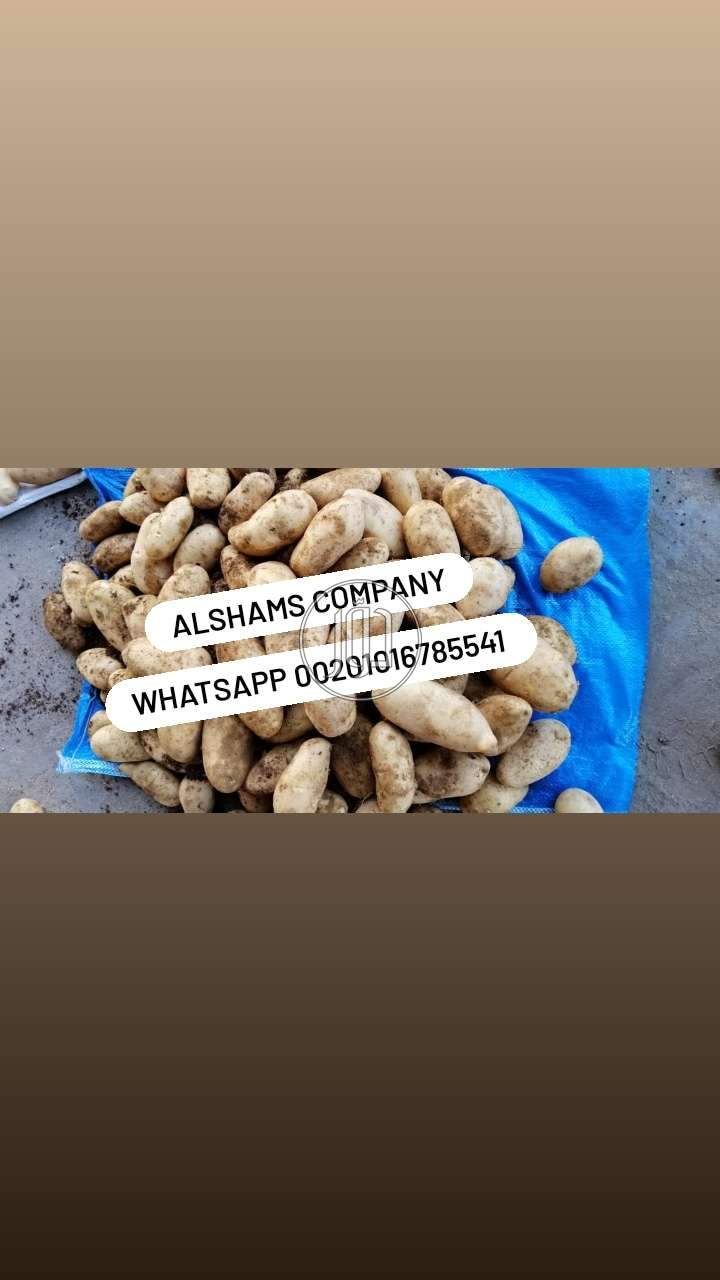 صور خدمات استيراد وتصدير في الامارات - دوّر.كوم