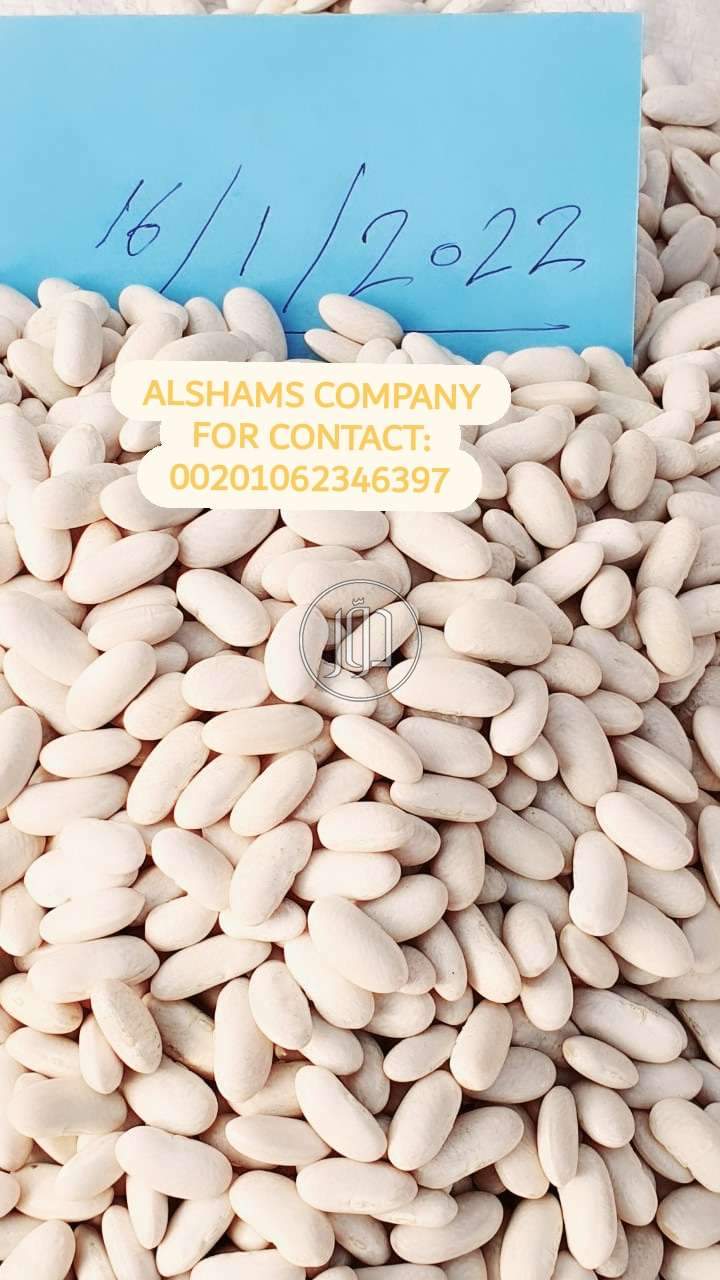 صور خدمات استيراد وتصدير في العين - دوّر.كوم