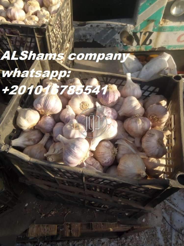 صور خدمات استيراد وتصدير في الامارات - دوّر.كوم