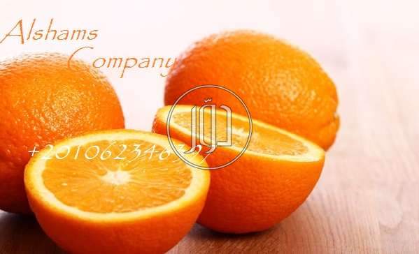 صور خدمات استيراد وتصدير في الشارقة - دوّر.كوم