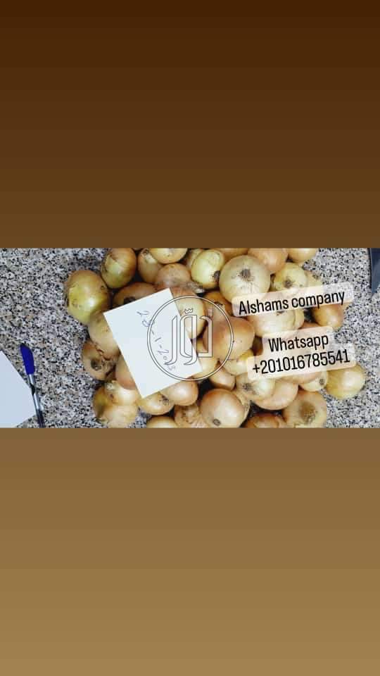 صور خدمات استيراد وتصدير في الامارات - دوّر.كوم