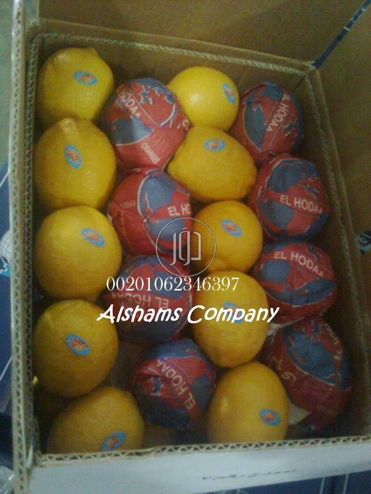 صور خدمات استيراد وتصدير في العين - دوّر.كوم