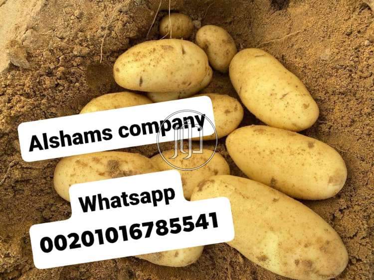 صور خدمات استيراد وتصدير في الامارات - دوّر.كوم