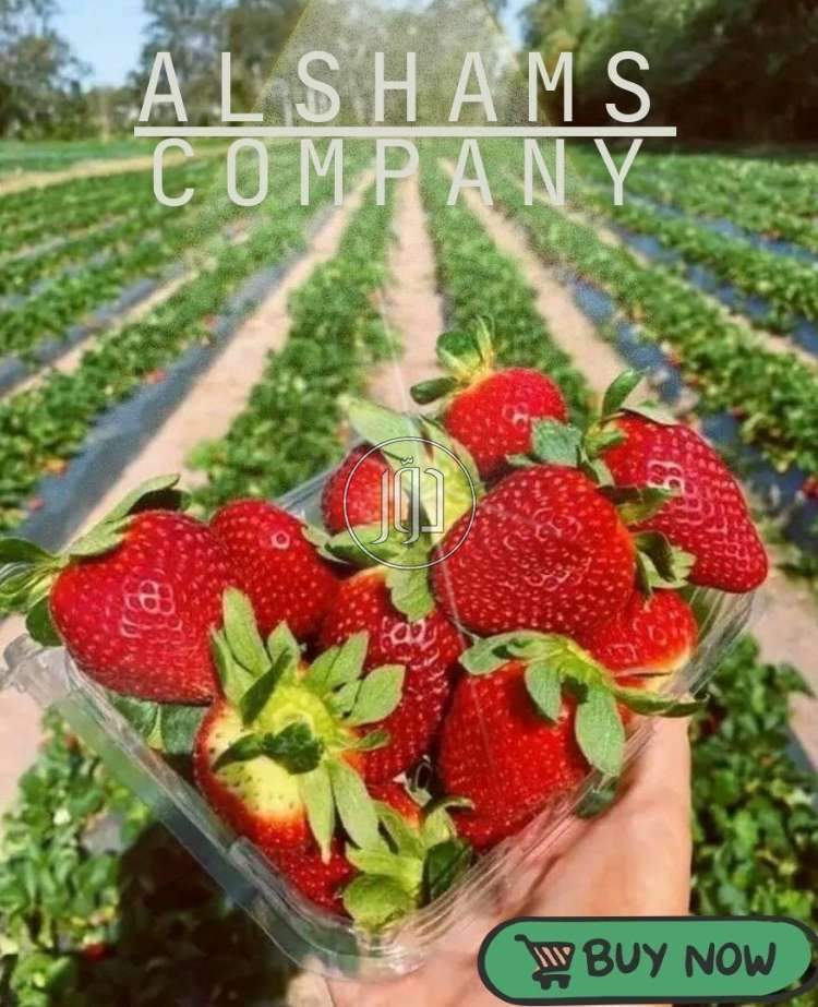 صور خدمات استيراد وتصدير في أبو ظبي - دوّر.كوم