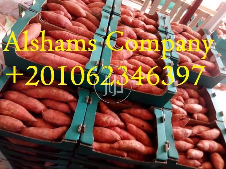 صور خدمات استيراد وتصدير في أبو ظبي - دوّر.كوم