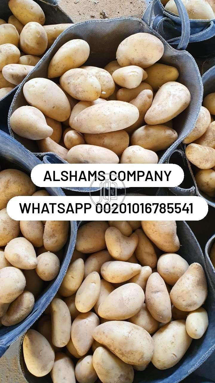 صور خدمات استيراد وتصدير في الامارات - دوّر.كوم