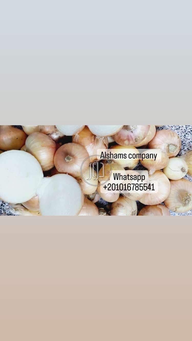 صور خدمات استيراد وتصدير في الامارات - دوّر.كوم