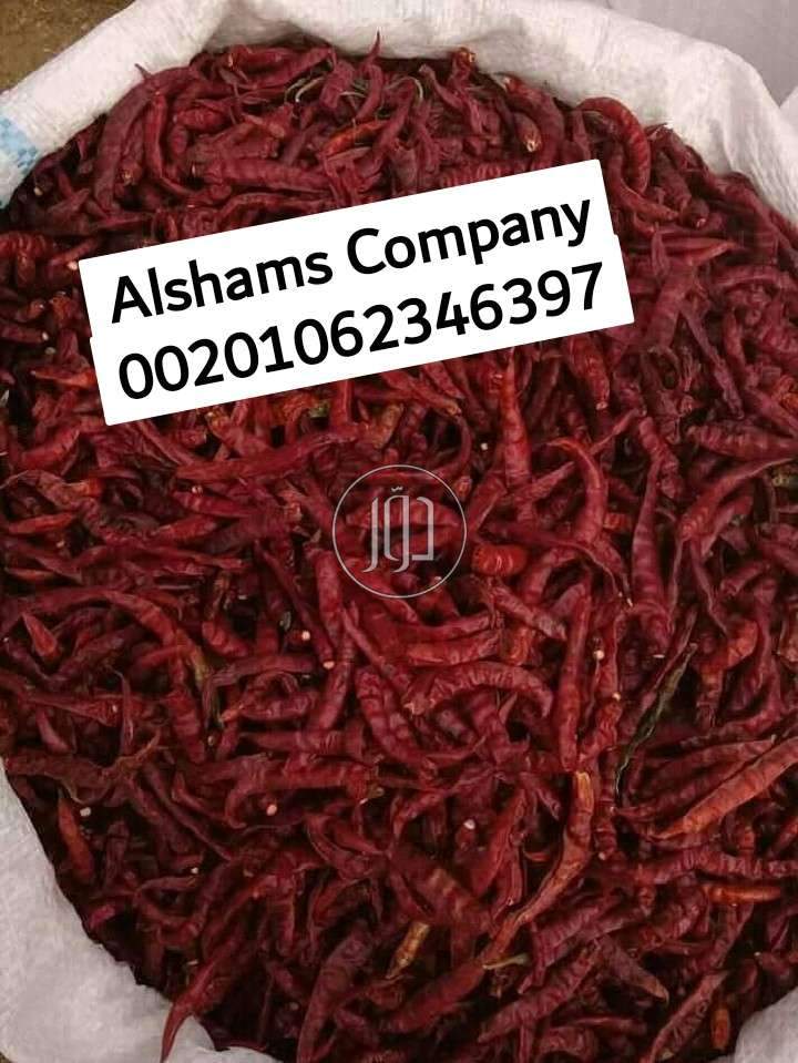 صور خدمات استيراد وتصدير في الشارقة - دوّر.كوم