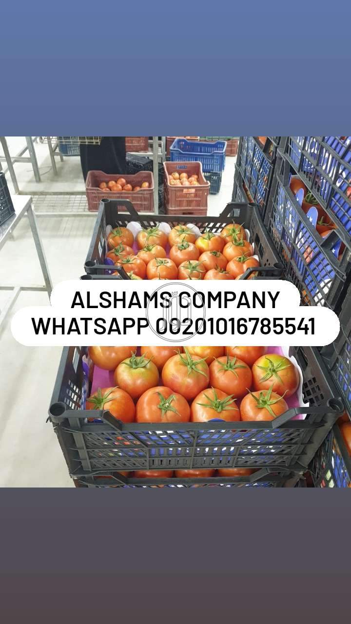 صور خدمات استيراد وتصدير في الامارات - دوّر.كوم