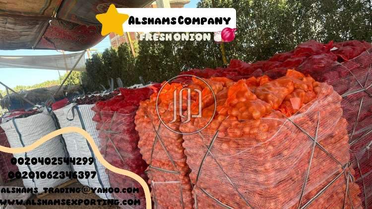 صور خدمات استيراد وتصدير في أبو ظبي - دوّر.كوم