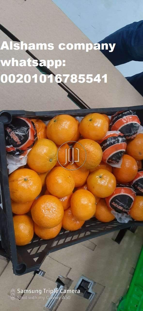 صور خدمات استيراد وتصدير في الامارات - دوّر.كوم