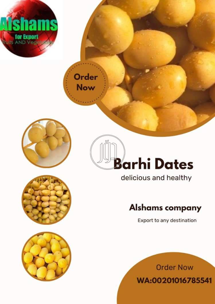 صور خدمات استيراد وتصدير في الامارات - دوّر.كوم