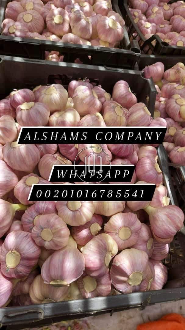 صور خدمات استيراد وتصدير في الامارات - دوّر.كوم