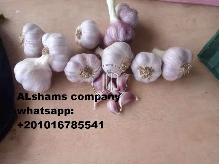 صور خدمات استيراد وتصدير في الامارات - دوّر.كوم