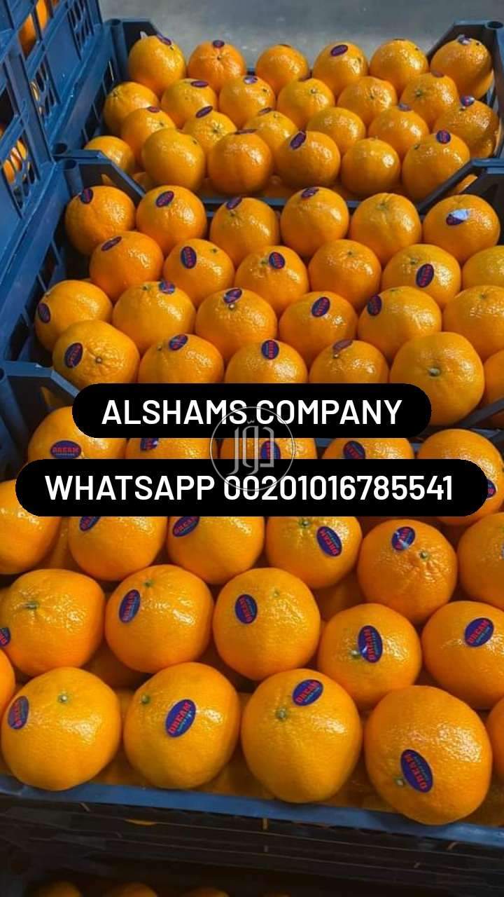 صور خدمات استيراد وتصدير في الامارات - دوّر.كوم