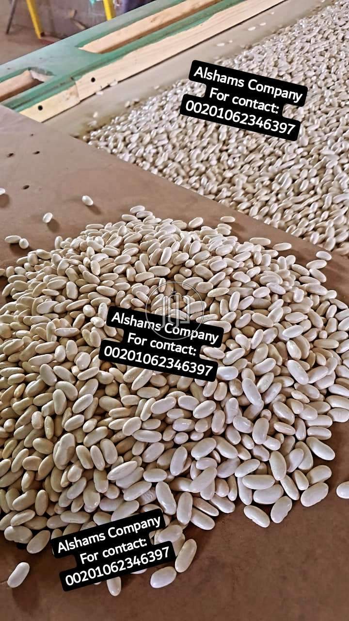 صور خدمات استيراد وتصدير في الفجيرة - دوّر.كوم