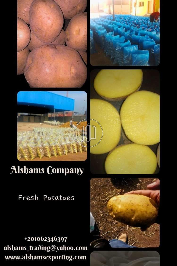 صور خدمات استيراد وتصدير في العين - دوّر.كوم