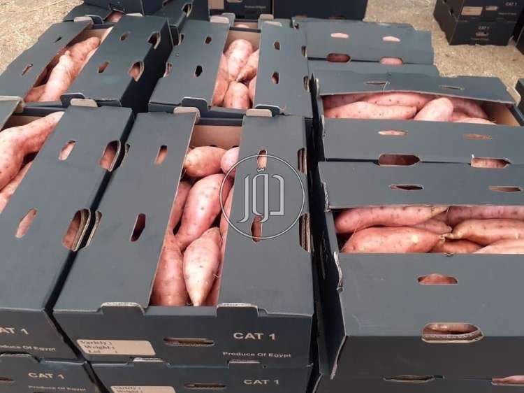 صور خدمات استيراد وتصدير في الامارات - دوّر.كوم