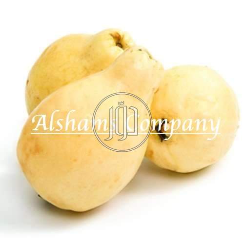 صور خدمات استيراد وتصدير في العين - دوّر.كوم