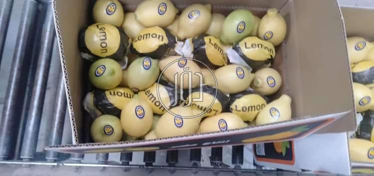 صور خدمات استيراد وتصدير في الامارات - دوّر.كوم