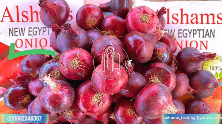 صور خدمات استيراد وتصدير في الامارات - دوّر.كوم