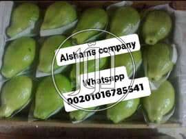 صور محاصيل وبذور زراعية في الامارات - دوّر.كوم