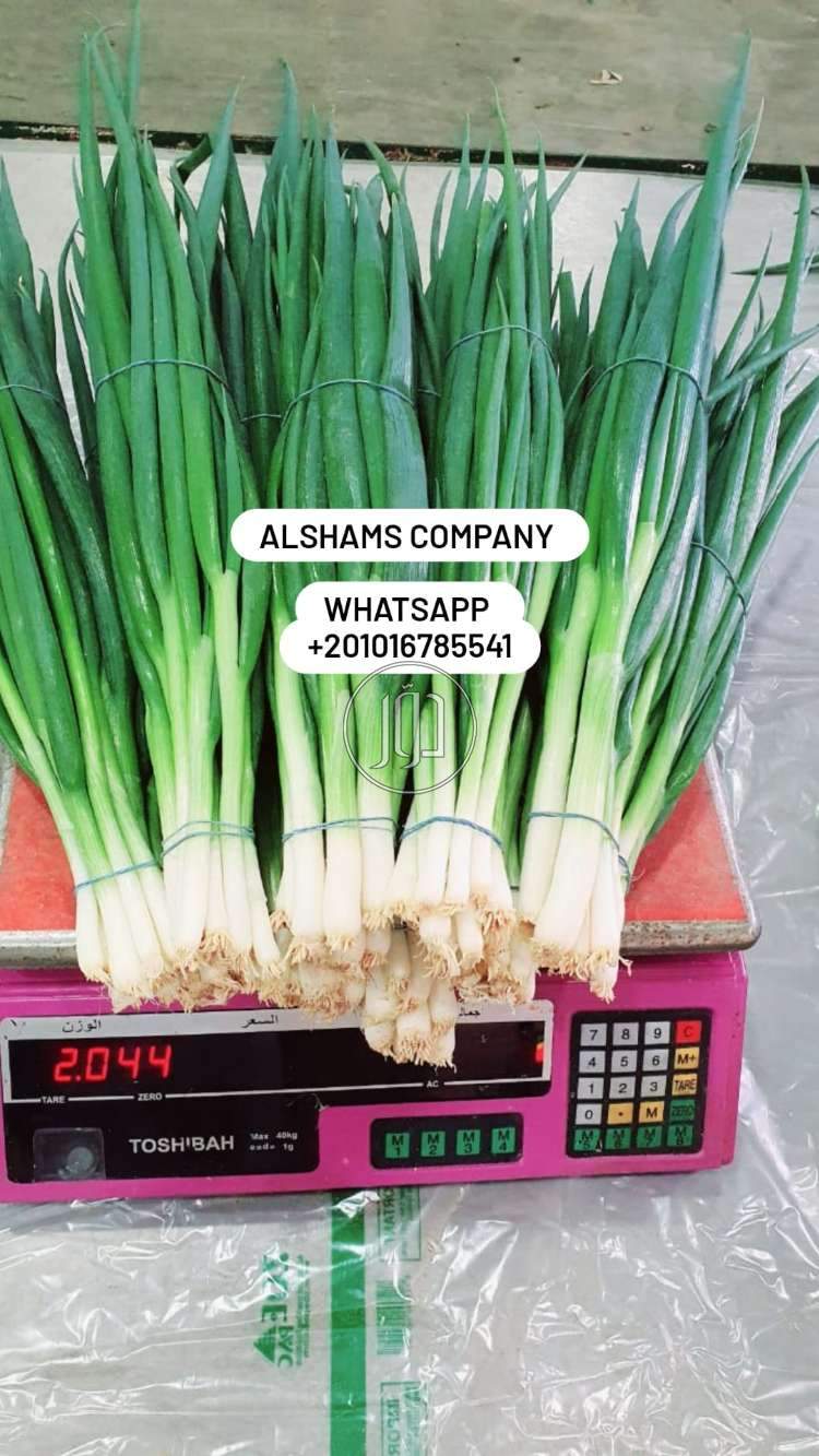 صور خدمات استيراد وتصدير في الامارات - دوّر.كوم