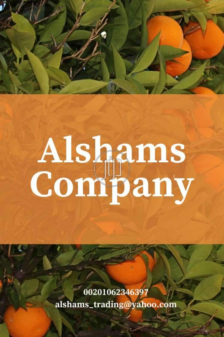 صور خدمات استيراد وتصدير في العين - دوّر.كوم