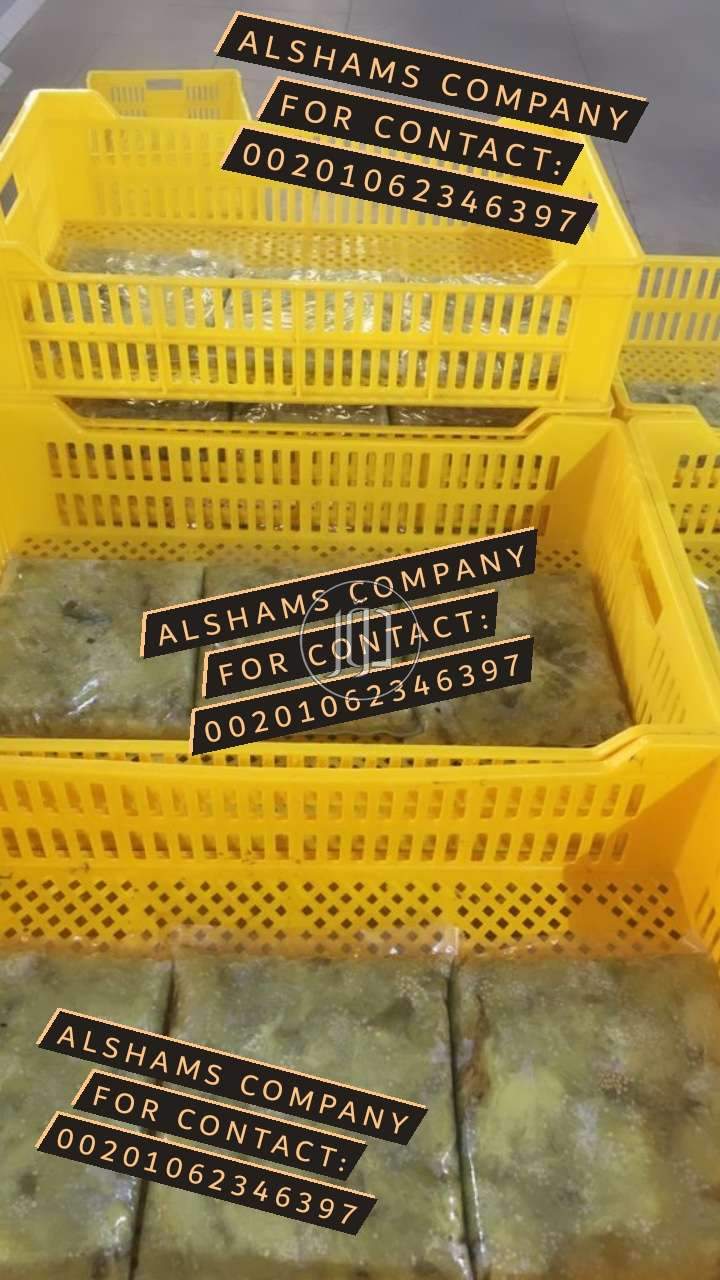 صور خدمات استيراد وتصدير في أبو ظبي - دوّر.كوم