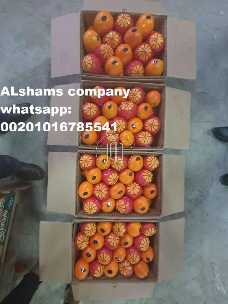 صور خدمات استيراد وتصدير في الامارات - دوّر.كوم