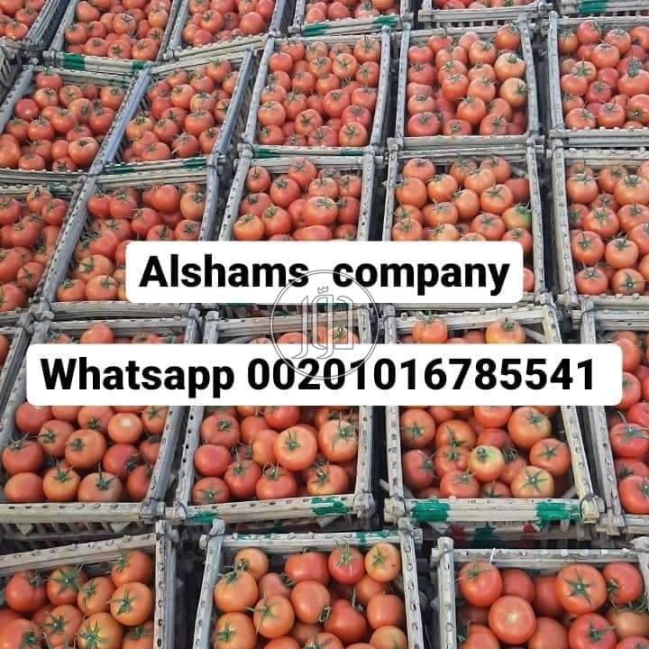 صور خدمات استيراد وتصدير في الامارات - دوّر.كوم